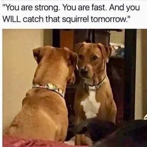 Meet your Posher, Kalyn